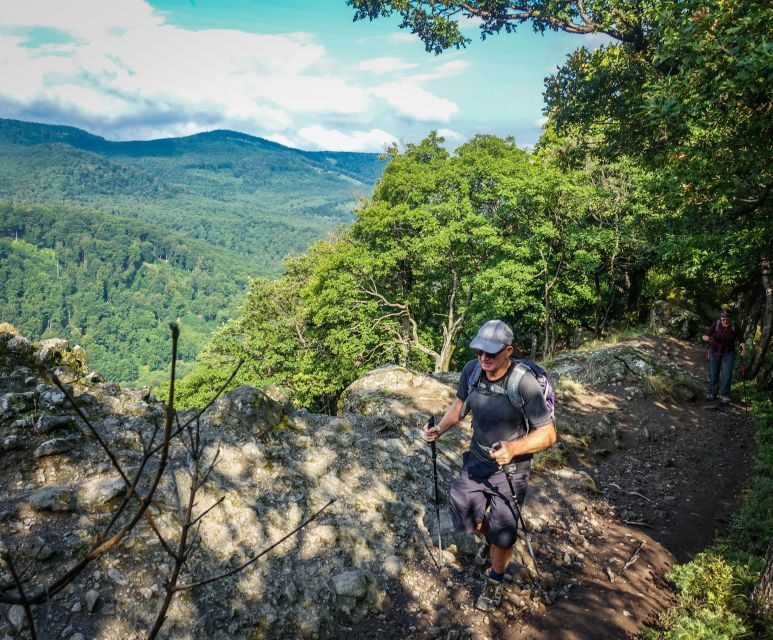 One Day Wonder Hike - The Essence of the Danube Bend - Key highlights you’ll feel right away