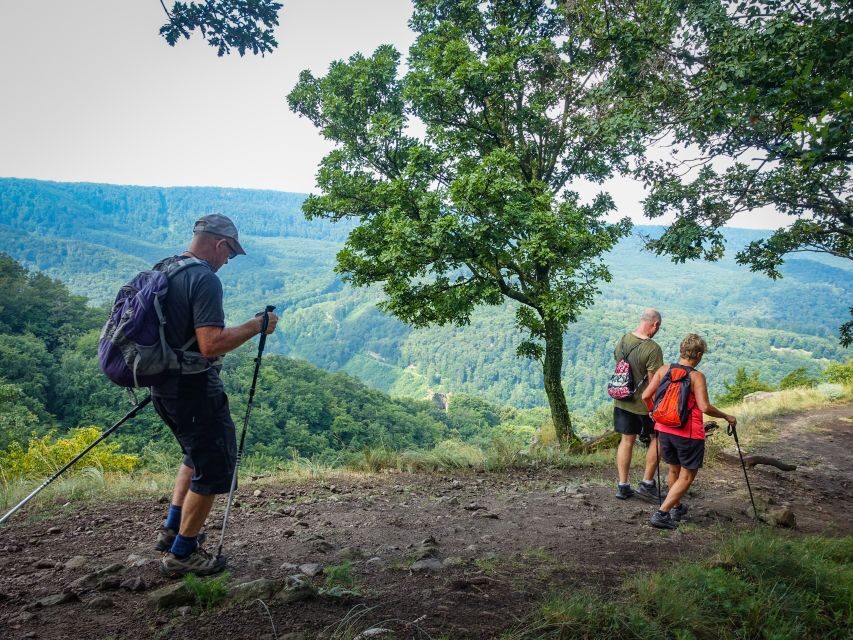 One Day Wonder Hike - The Essence of the Danube Bend - Predikaloszek summit: the “best views in Hungary” moment