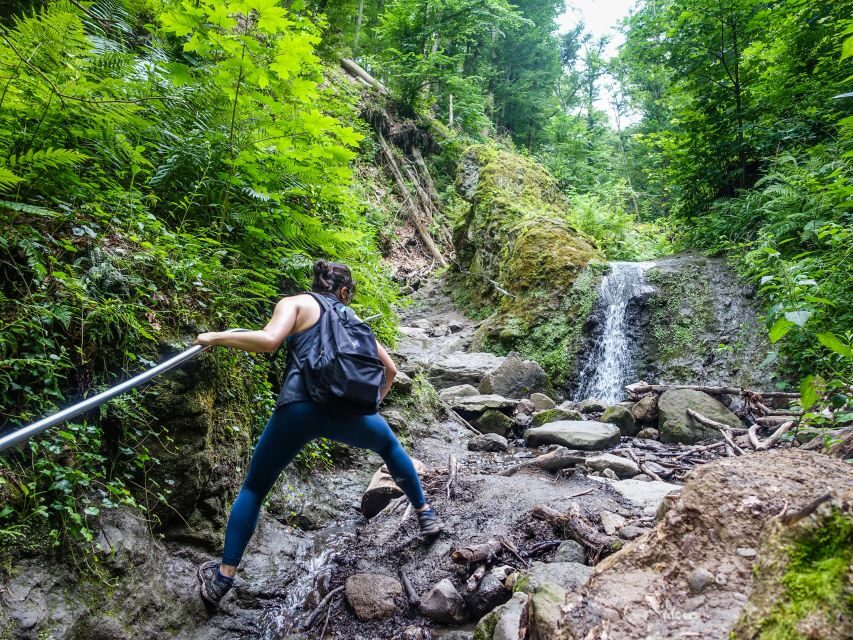 One Day Wonder Hike - The Essence of the Danube Bend - Ram gorge: the waterfall climb with ladders and rails