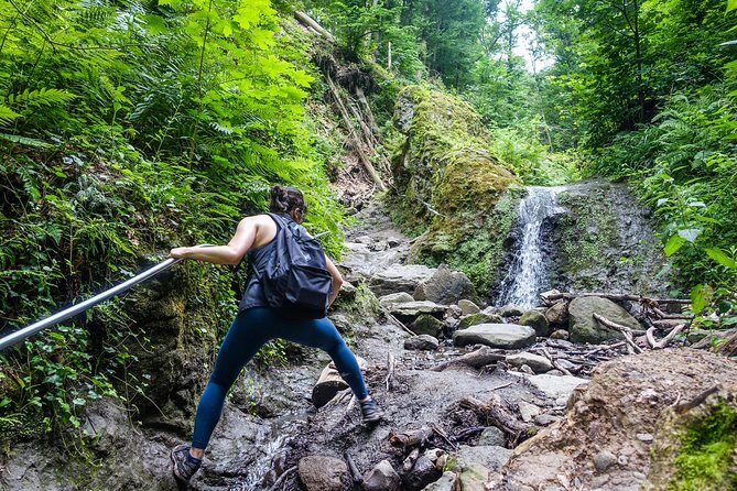 One Day Wonder Hiking Trip - Dömös and the Real Hiking Route: What the Trail Feels Like