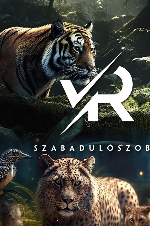 PÁNiQ-SZOBA | VR Escape Rooms by PANiQ ROOM in Budapest - Teamwork in VR: how small groups change the experience