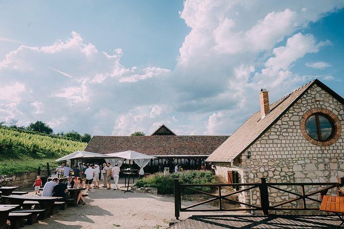 Private Etyek Wine tour with dinner including a Budapest Danube Evening Cruise - Price and Value: Is $336 per Person Worth It?