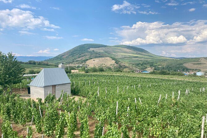 Private Full Day Tour to Eger - History, Culture and Wine - Valley of the Beautiful Woman: wine time that stays your choice