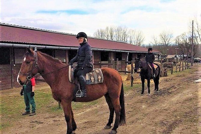 Private Horse Riding near Budapest with transport - Getting there from Budapest without turning it into a project