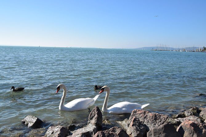 Private Lake Balaton Experience with an unforgettable Wine Tasting - Price and value: what $372.34 buys you in real terms