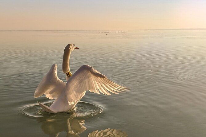 Private tour from Budapest to a top hidden treasure region of Europe: Lake Balaton - Should You Book It?