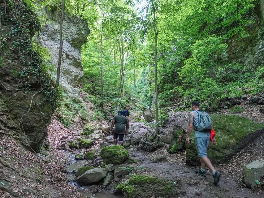 Ram Gorge Hiking Adventure - The gorge hike: forest shade, waterfall ladders, and stream crossings