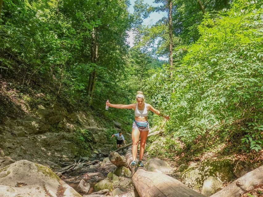 Ram Gorge Hiking Adventure - How hard is this walk? Uneven footing, short climbs, and rain reality