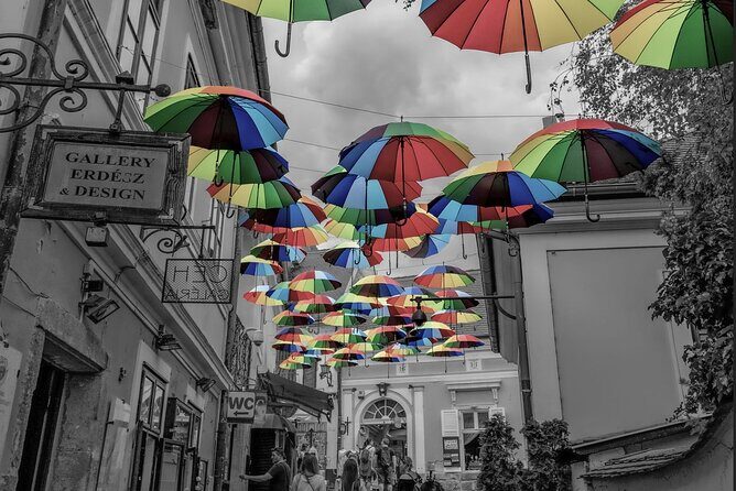 Scenic Danube River bend hills & the Art Town: Private Car Tour - Who This Tour Fits Best (and Who Might Want Another Plan)