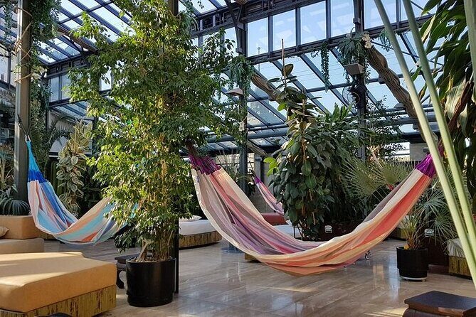 Széchenyi Thermal Spa Palm House Pass - Exclusive Area - Price and value: is $121.55 worth this Palm House upgrade?