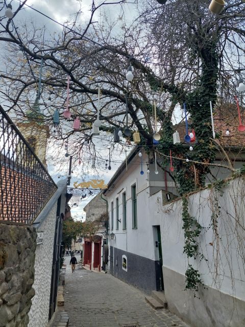 Szentendre: Half-Day Private Tour from Budapest - Szentendre in Half a Day: Why It Feels Like a Mini Getaway