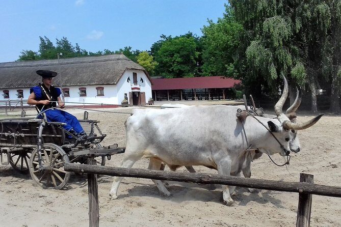 The "Puszta" Horse Show - Timing, group size, and English: a day trip that stays manageable