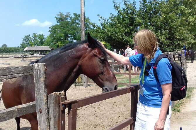 The "Puszta" Horse Show - Should you book the Puszta horse show tour?