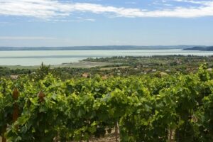 The Turquoise Sea of Hungary: Lake Balaton Private Tour - Balatonfüred promenade: where the lake meets the good-life details