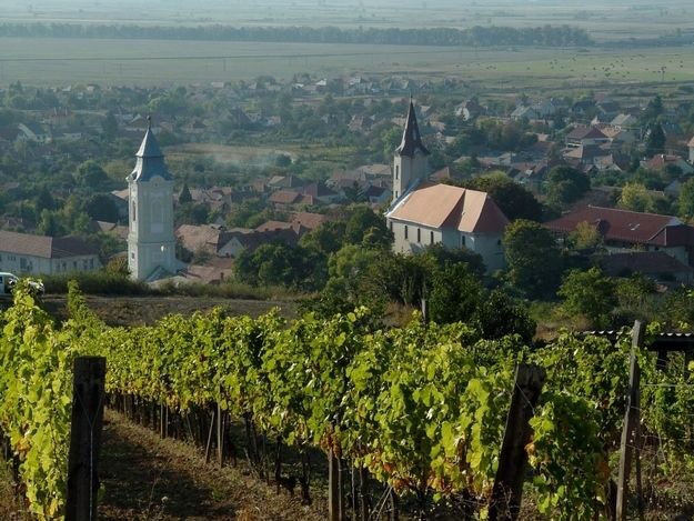 Tokaj Private Day Tour from Budapest - Tokaj’s UNESCO story, and why it still matters