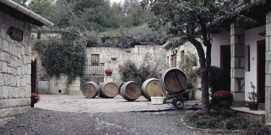 Tokaj Private Day Tour from Budapest - The 3-hour coach ride: not wasted time if you come prepared