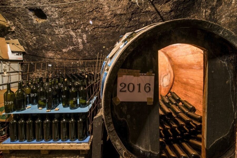 Tokaj Private Day Tour from Budapest - The tasting format: 4 wines included, plus a multi-part session with snacks