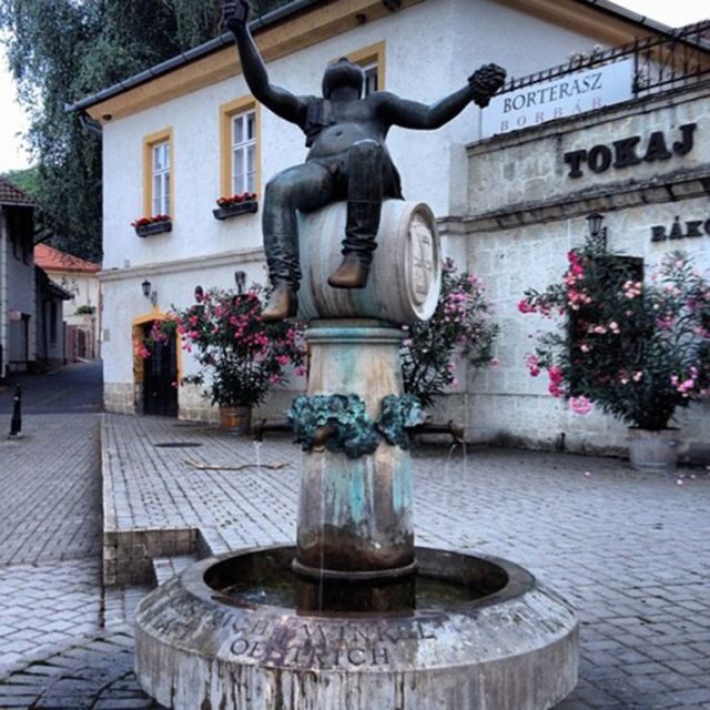 Tokaj Private Day Tour from Budapest - Price and value: does $965 per group feel fair?