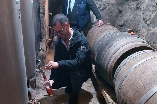 Wine Tasting in the Countryside from Budapest - Key things that make this wine tasting special