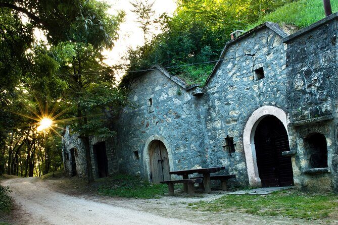 Wine Tasting in the Countryside from Budapest - Paty’s Hobbit-Style Cellar Village: What You See First