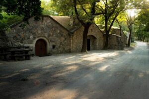 Wine Tasting in the Countryside from Budapest - Meet Miklós Csizmadia: The Guide Who Keeps It Fun and Clear