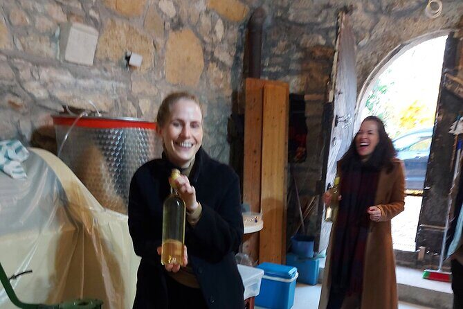 Wine Tasting in the Countryside from Budapest - Price and Value: Is $90 Reasonable for Budapest?